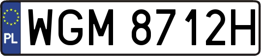 WGM8712H