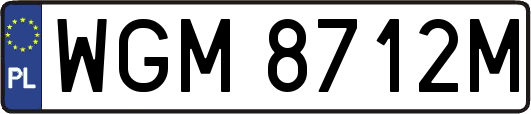 WGM8712M
