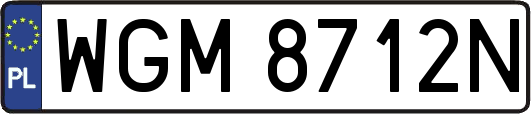 WGM8712N
