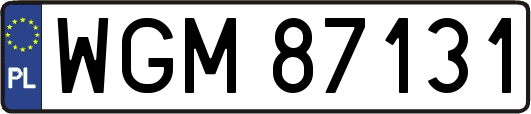 WGM87131