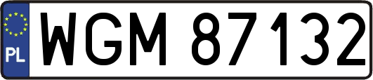 WGM87132