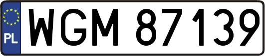 WGM87139