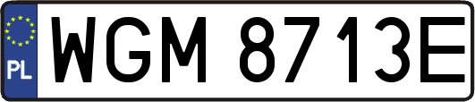 WGM8713E