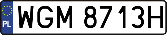 WGM8713H