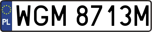 WGM8713M