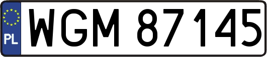 WGM87145