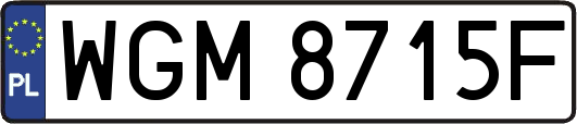 WGM8715F