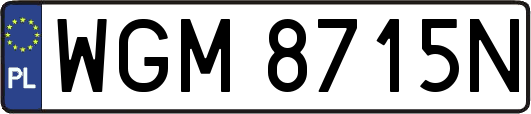 WGM8715N