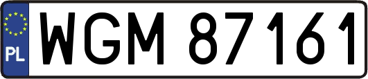 WGM87161