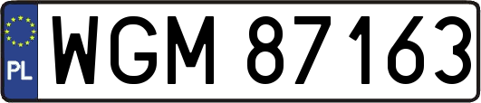 WGM87163