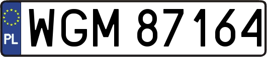 WGM87164