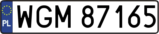 WGM87165