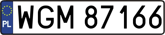 WGM87166