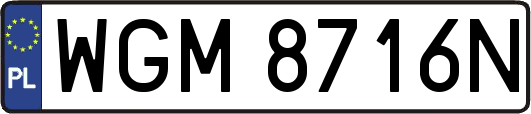 WGM8716N