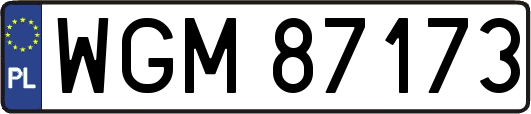 WGM87173