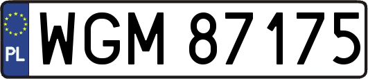 WGM87175