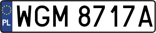 WGM8717A