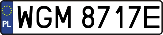 WGM8717E