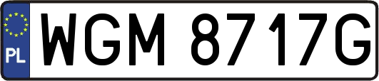 WGM8717G