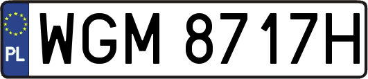 WGM8717H