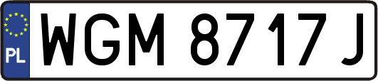 WGM8717J