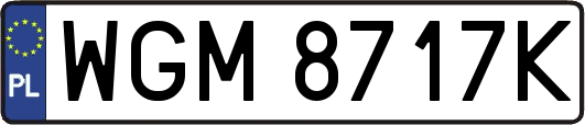 WGM8717K