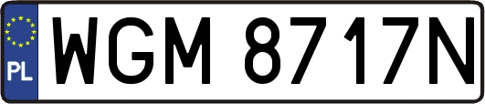 WGM8717N