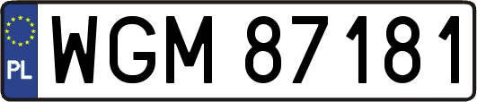 WGM87181