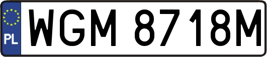 WGM8718M