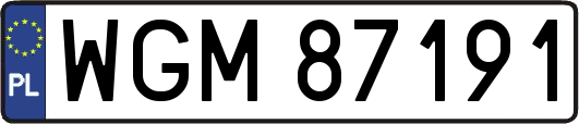 WGM87191