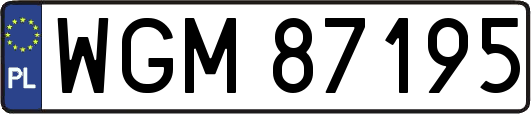 WGM87195