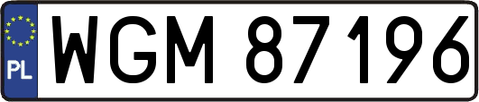 WGM87196