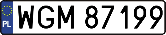 WGM87199