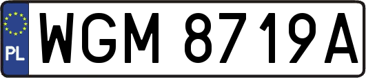 WGM8719A