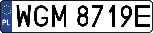 WGM8719E