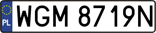 WGM8719N