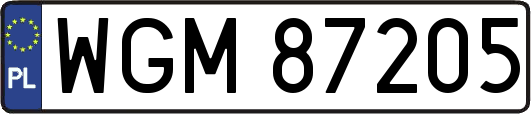 WGM87205
