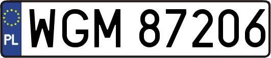 WGM87206