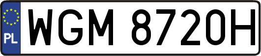 WGM8720H