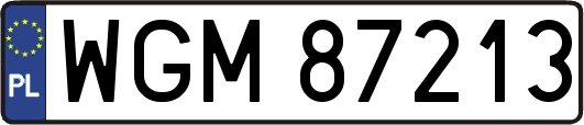 WGM87213
