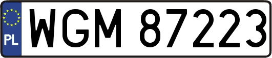 WGM87223