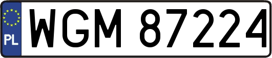 WGM87224