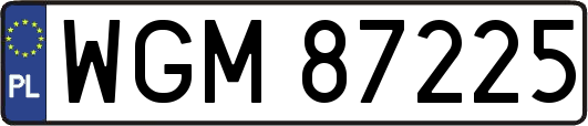 WGM87225