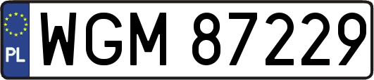 WGM87229