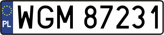 WGM87231