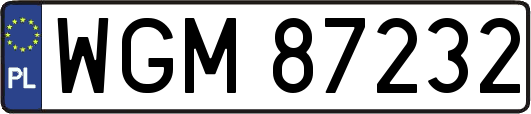 WGM87232