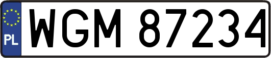 WGM87234