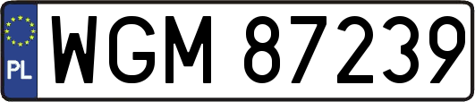 WGM87239