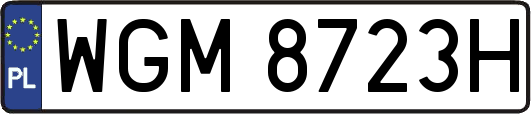 WGM8723H