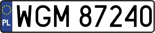 WGM87240